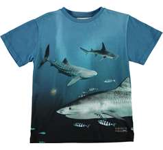 Raveno T-shirts & Tops